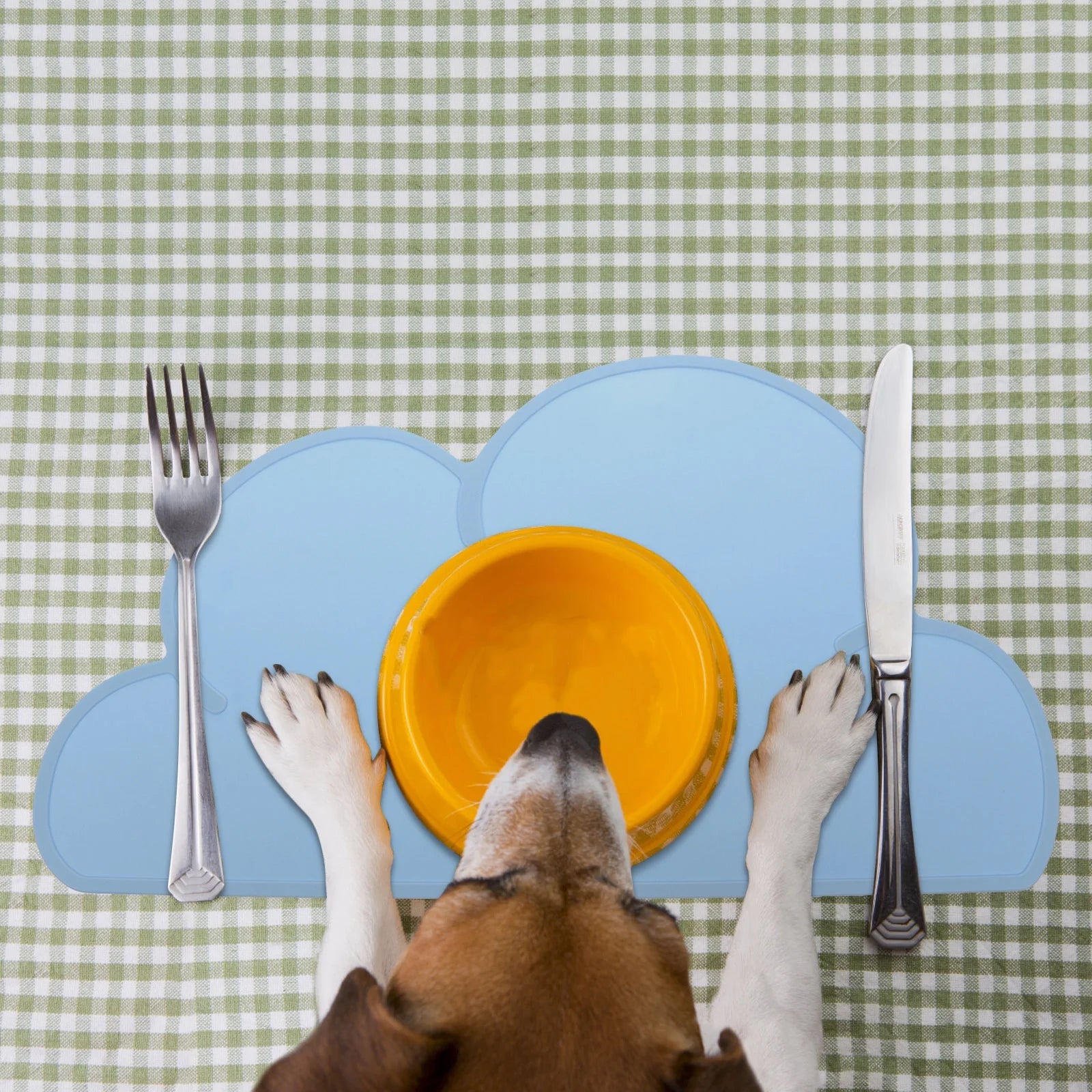 Cat Bowl Animal Food Mat Silicone Pet Placemat Feeding Child